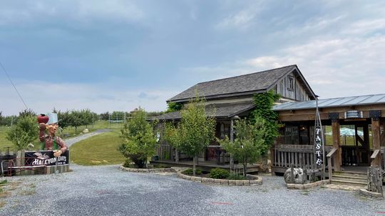 Enjoy craft cider at Halcyon Days Cider Company, but don’t miss the labyrinth!