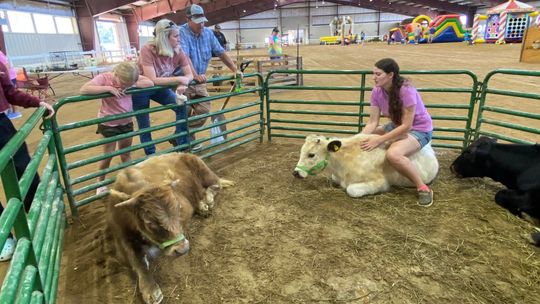 Experience a classic county fair at the Rockbridge Regional Fair and Expo in September.