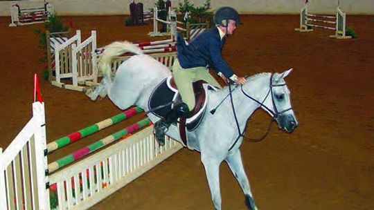 See equestrian sports at the Virginia Horse Center