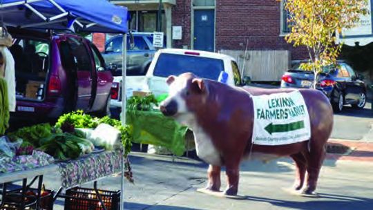 Shop for local produce, baked goods and crafts at our farmer’s market.