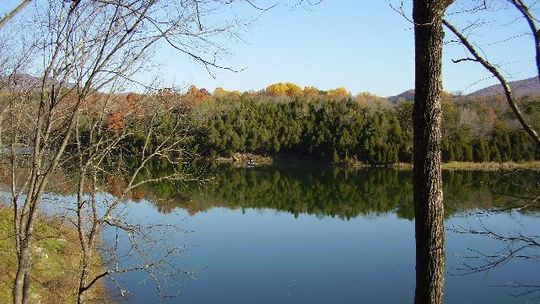 Take a picnic or camp at Lake Robertson.