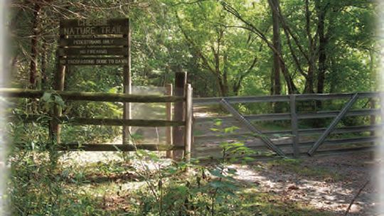 Take a walk on the Woods Creek Trail or Chessie Natural Trail.