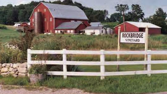 Taste award-winning wines and craft beers at Rockbridge Vineyard.