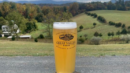 Taste local wines and great beers at Great Valley Farm Brewery and Winery