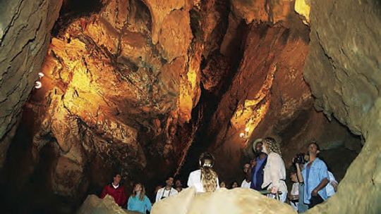 Tour the wonders of the underground world of Natural Bridge Caverns, thousands of years in the making.