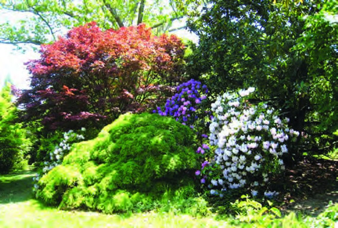 Experience a botanical museum at Boxerwood Nature Center and Woodland Garden.