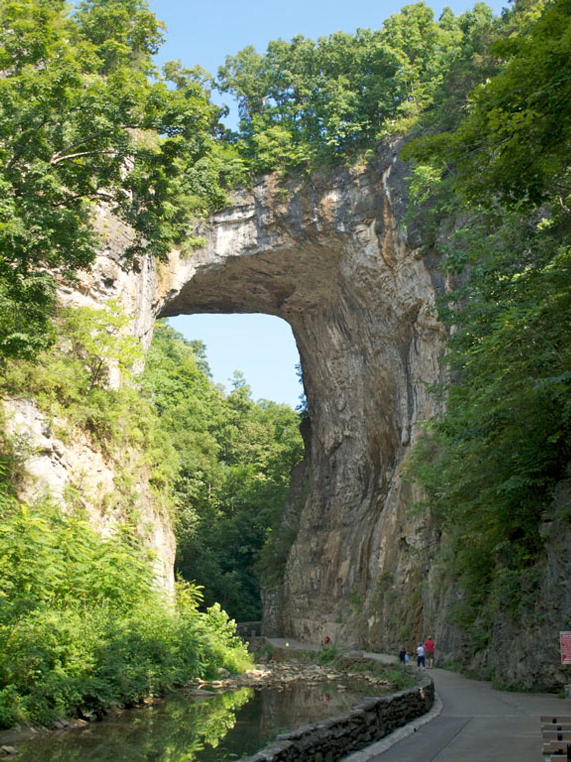 See the massive Natural Bridge, the centerpiece of Natural Bridge State Park.