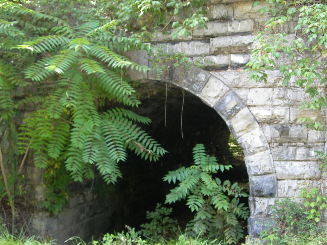 See the ruins of the ‘railroad that never was’ by driving south down Plank Road in Rockbridge County.