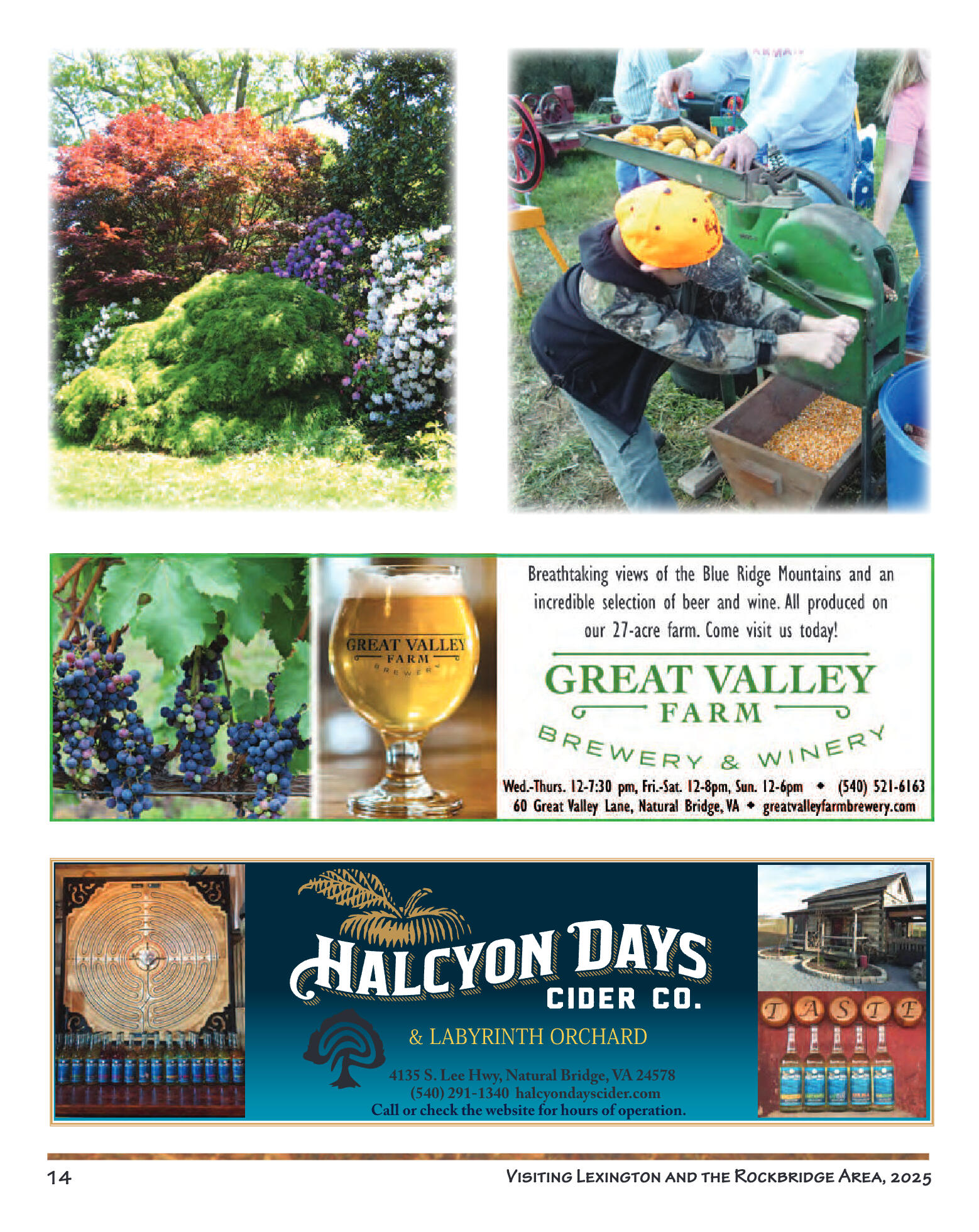 2025 Visiting Lexington - page 16