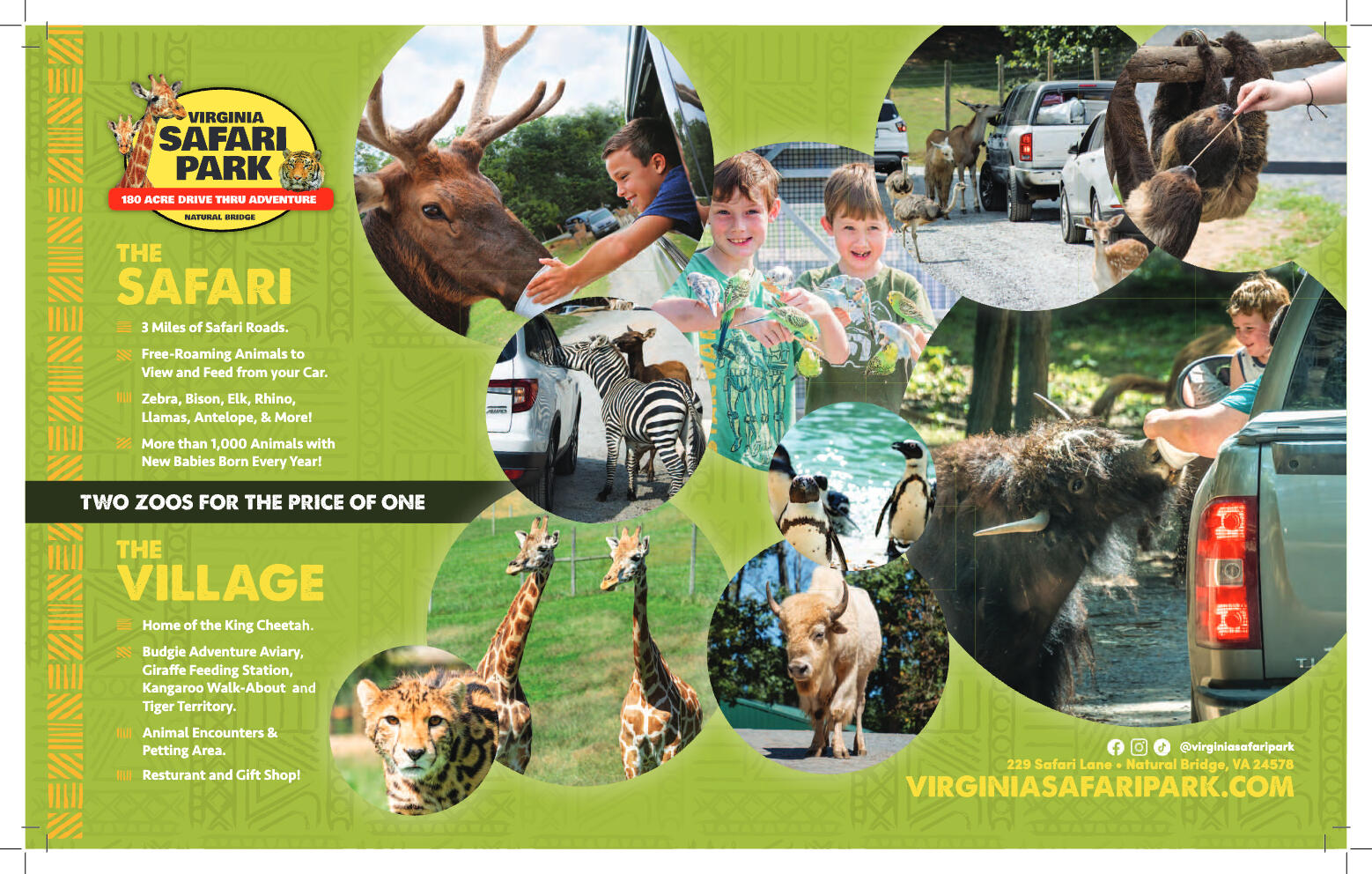 2025 Visiting Lexington - page 22